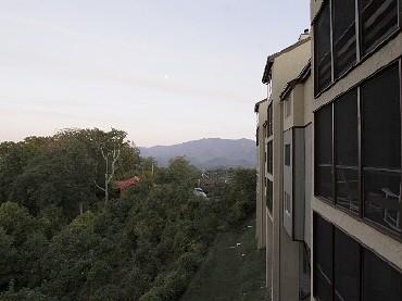 Caleb's Treehouse | Photo 15