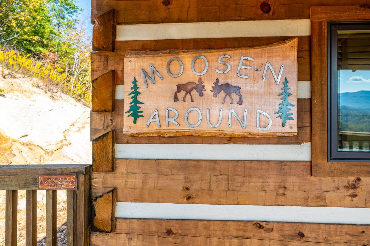 Moose-N Around