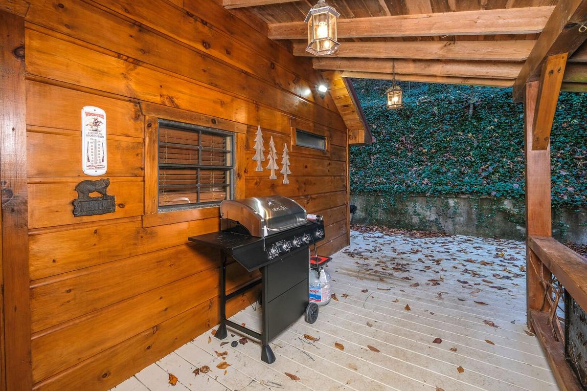 The Skinner's Cabin