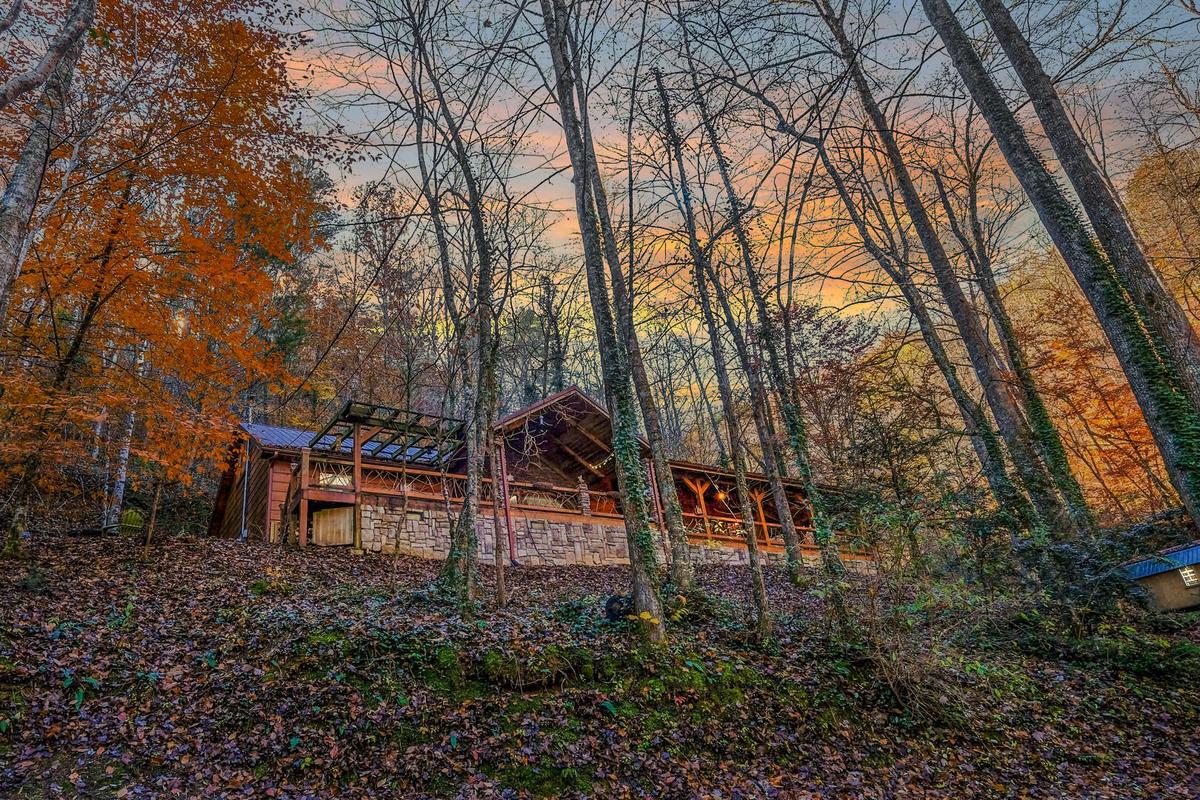 The Skinner's Cabin