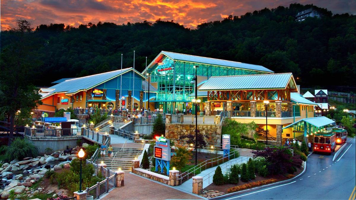 Peekin' Over Pigeon Forge