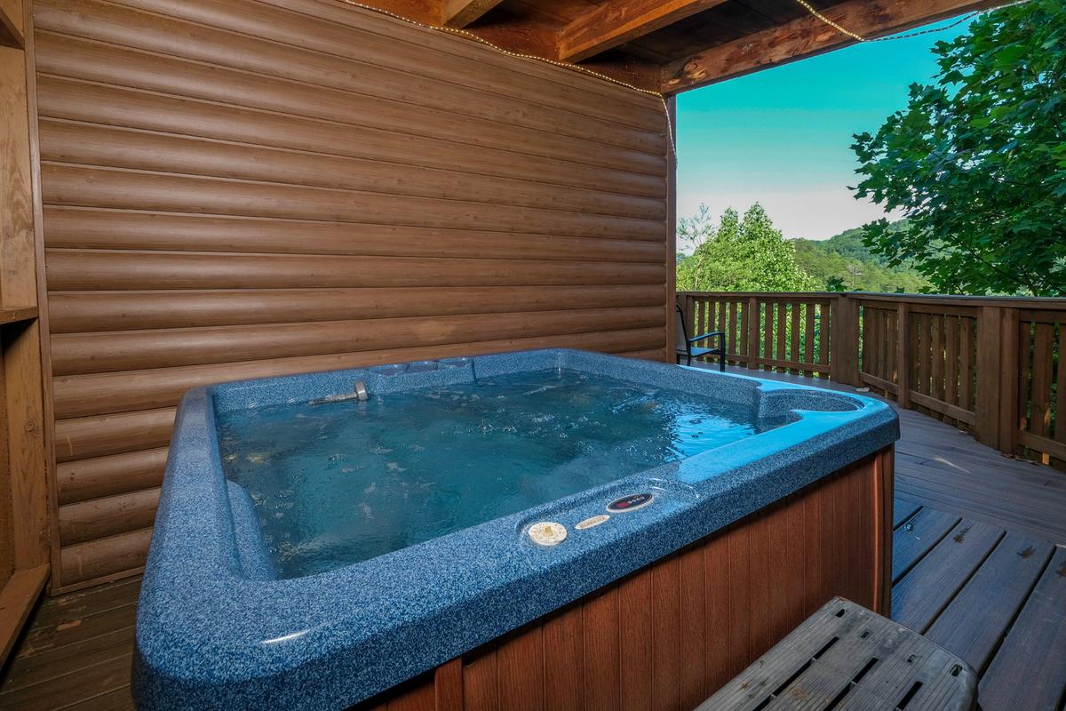 A Mountain Hideaway 2