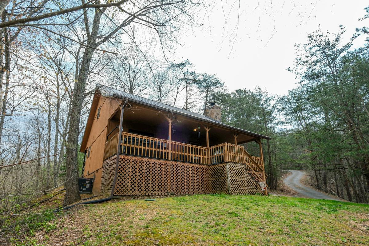 Bear Paws | Photo 32