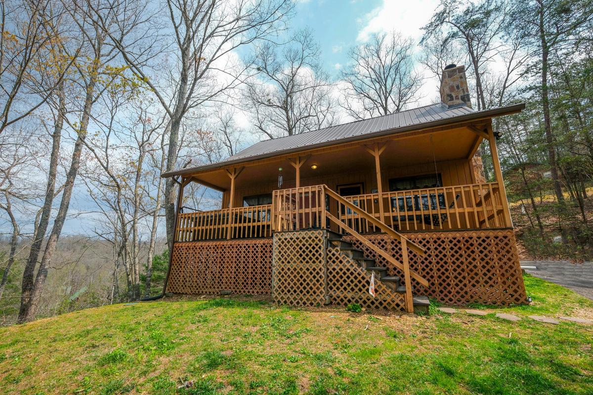 Bear Paws | Photo 33