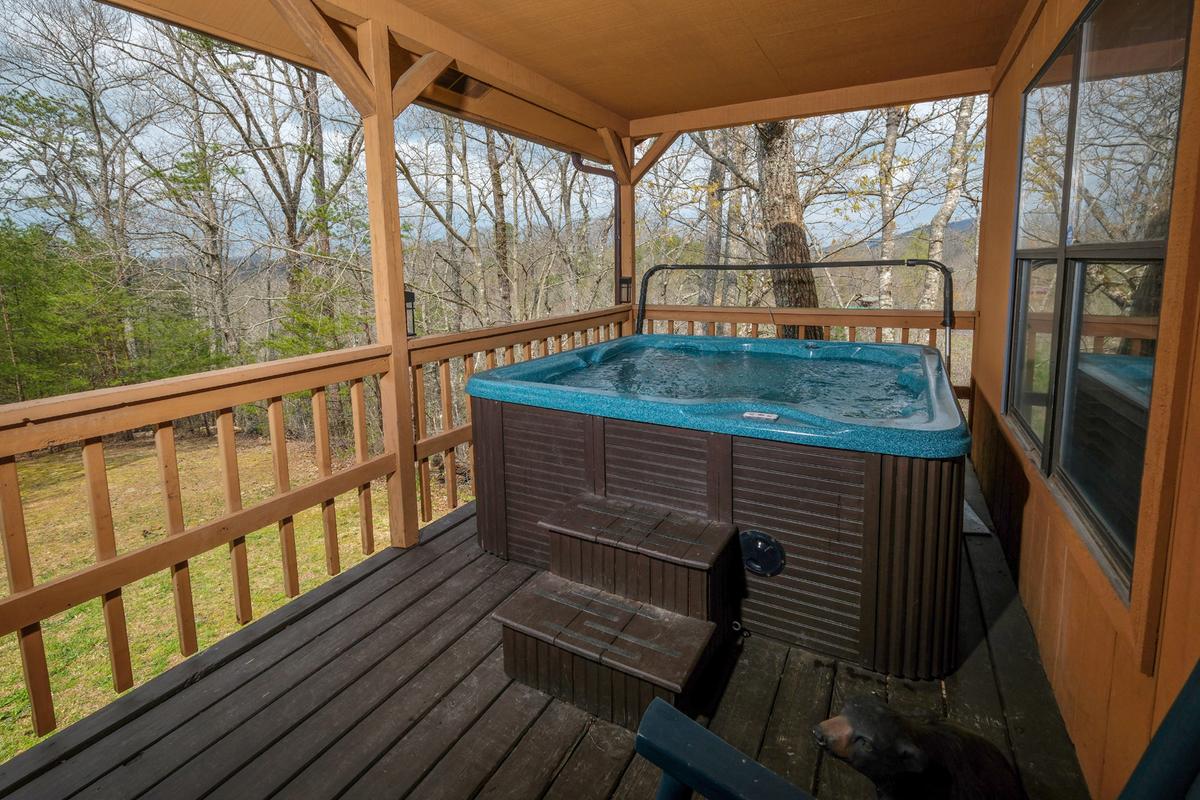 Bear Paws | Photo 26