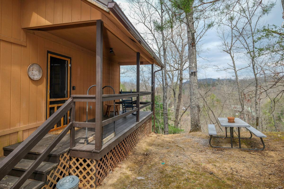 Bear Paws | Photo 29