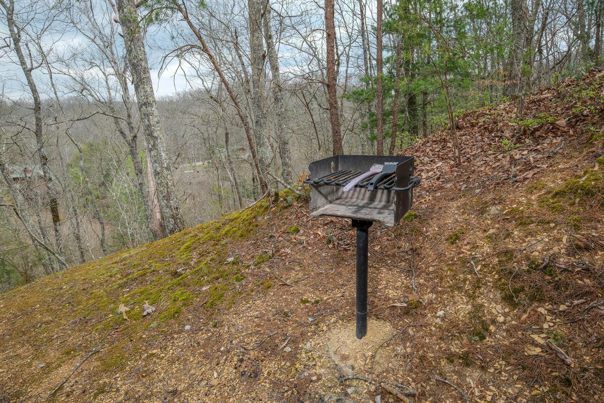 Bear Paws | Photo 31