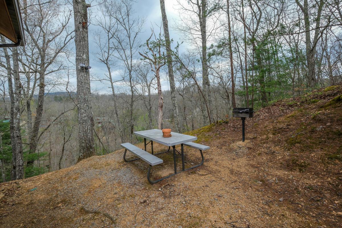 Bear Paws | Photo 30