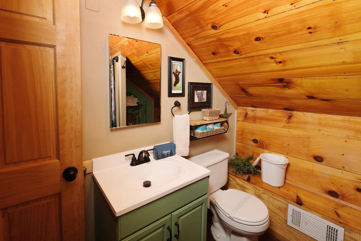 Bear Paws | Photo 20