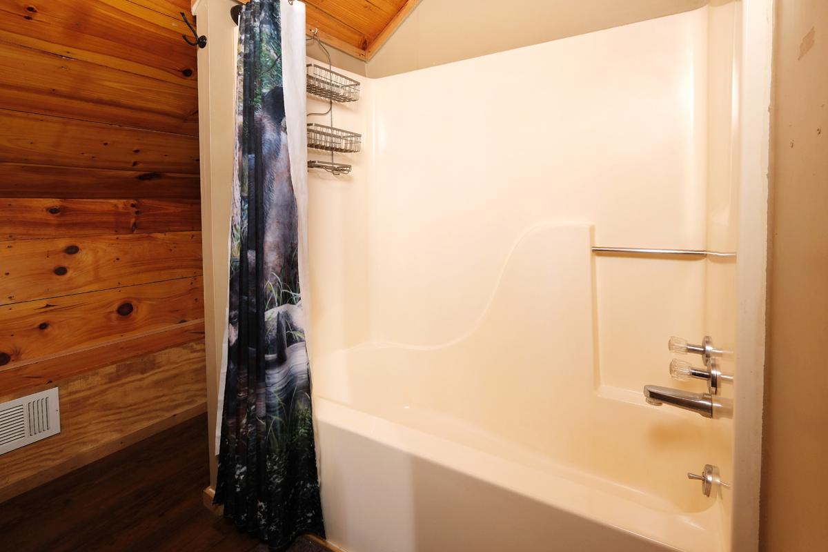 Bear Paws | Photo 19