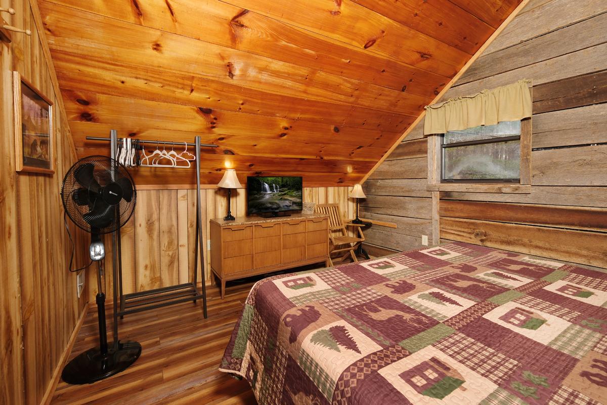 Bear Paws | Photo 18