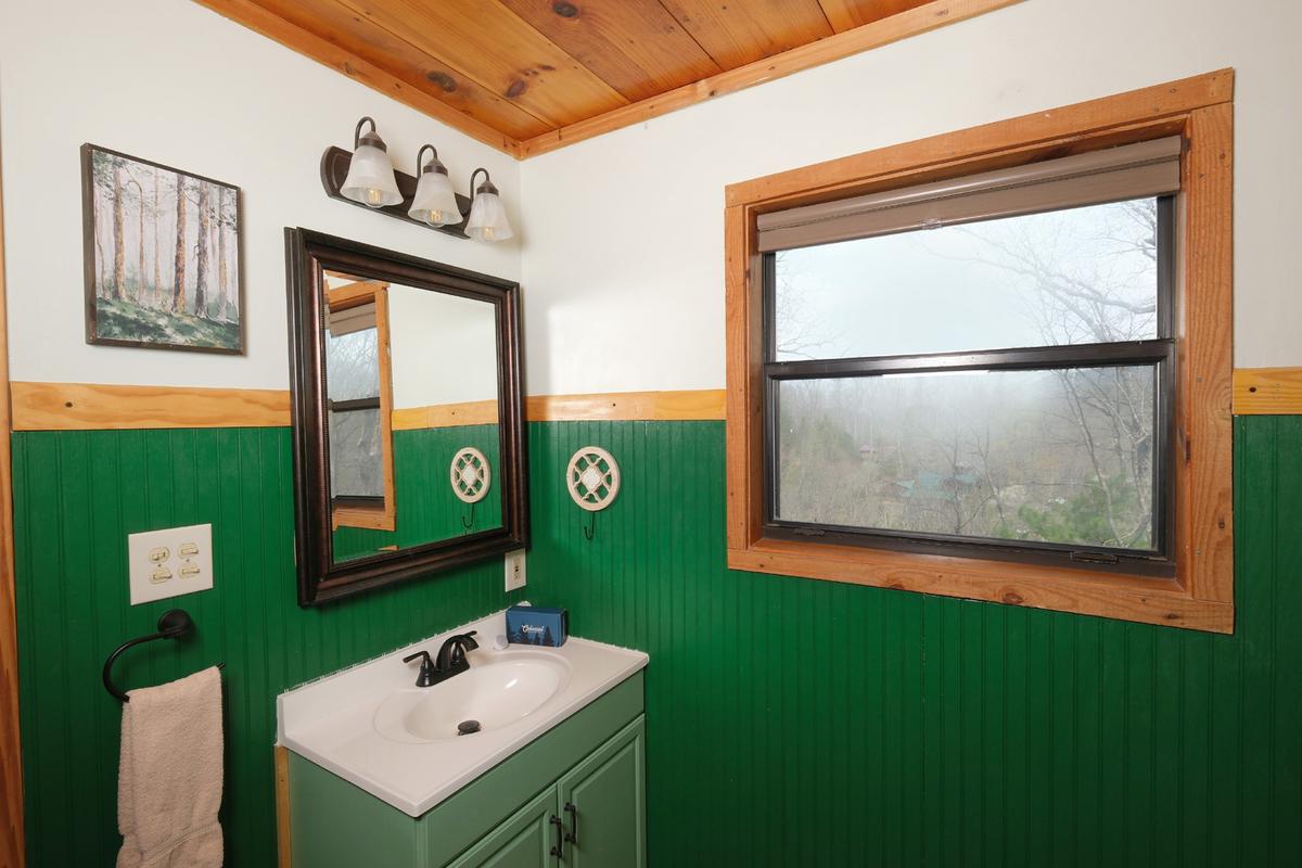 Bear Paws | Photo 15