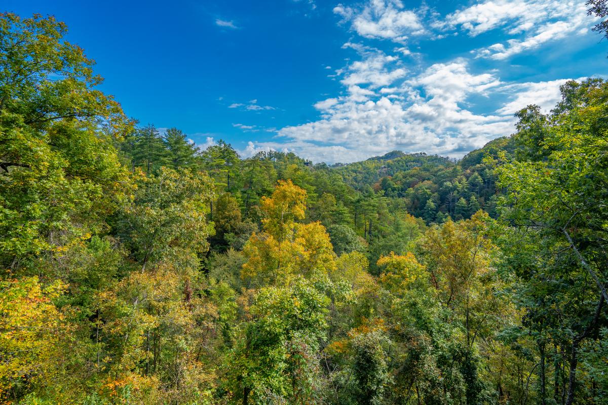 Aqua Quest | Photo 51