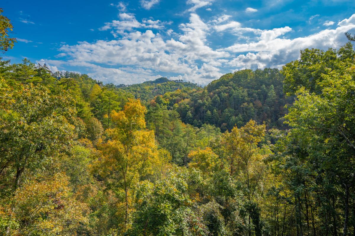 Aqua Quest | Photo 52