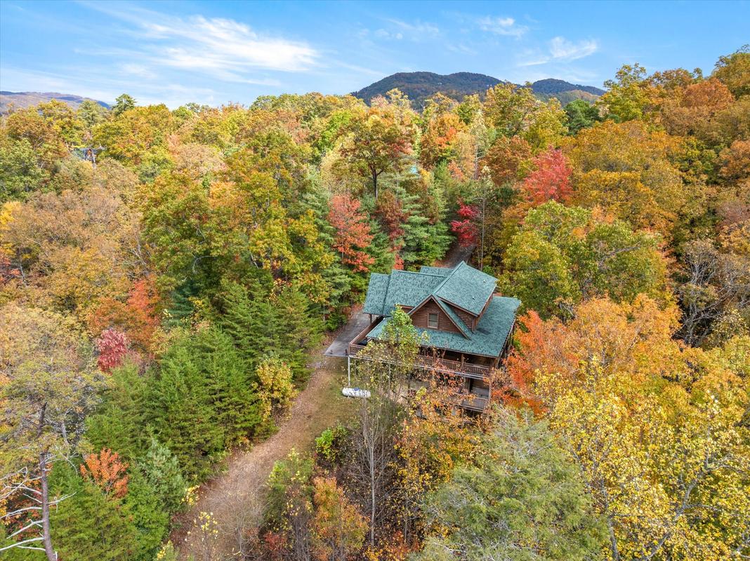 Nature's Paradise | Photo 89