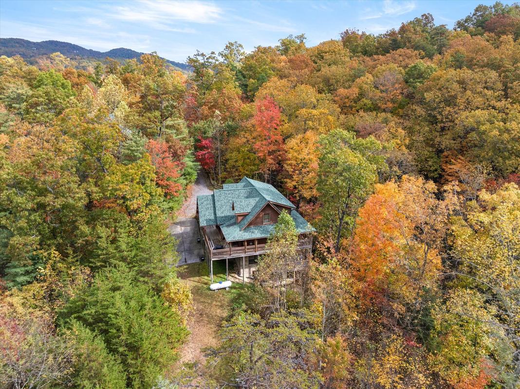 Nature's Paradise | Photo 90