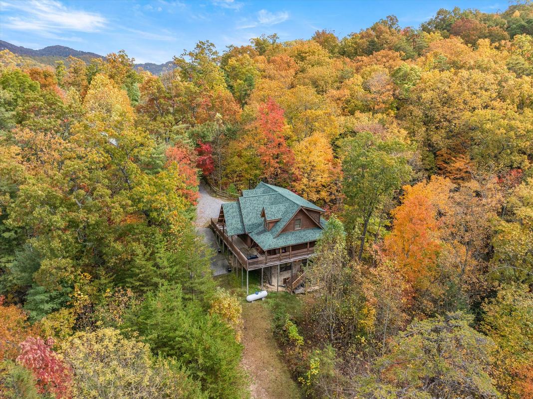 Nature's Paradise | Photo 91