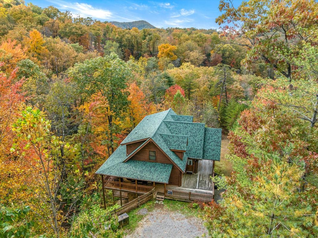 Nature's Paradise | Photo 93