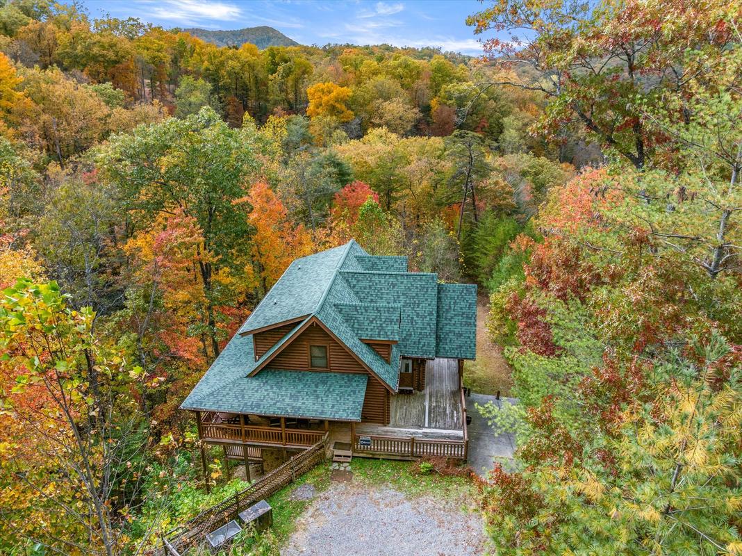 Nature's Paradise | Photo 94