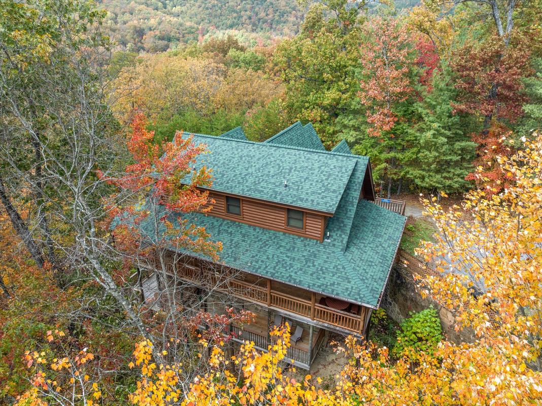 Nature's Paradise | Photo 95