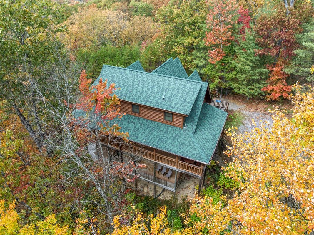 Nature's Paradise | Photo 96