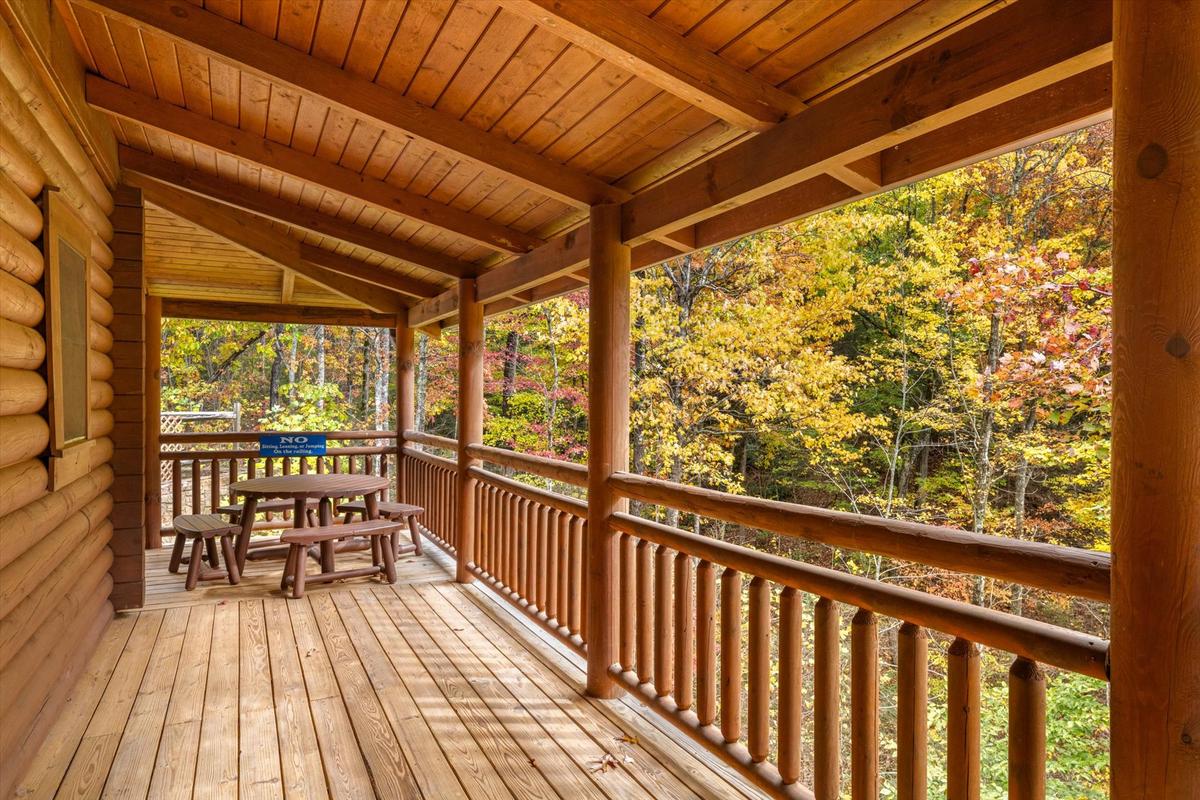 Nature's Paradise | Photo 79