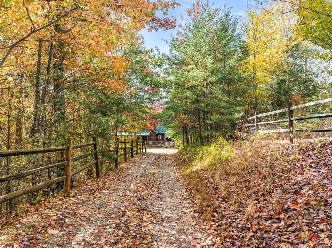 Nature's Paradise | Photo 97