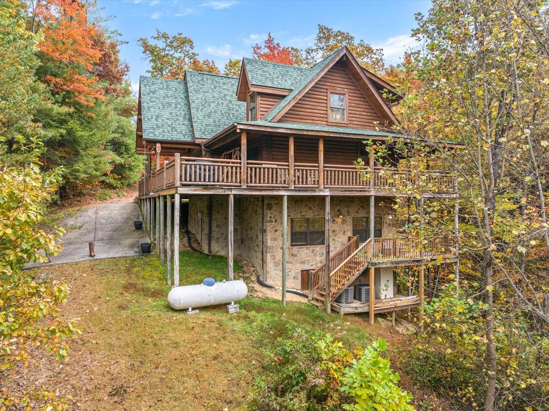 Nature's Paradise | Photo 98