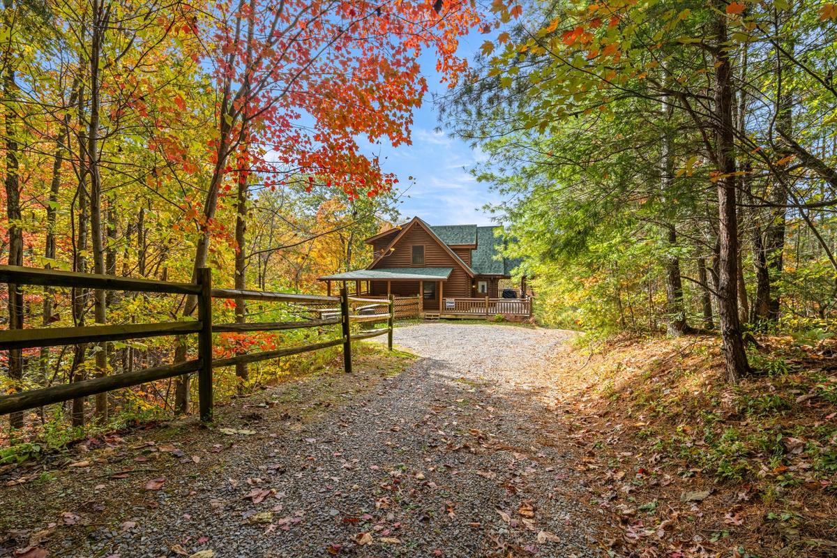 Nature's Paradise | Photo 104