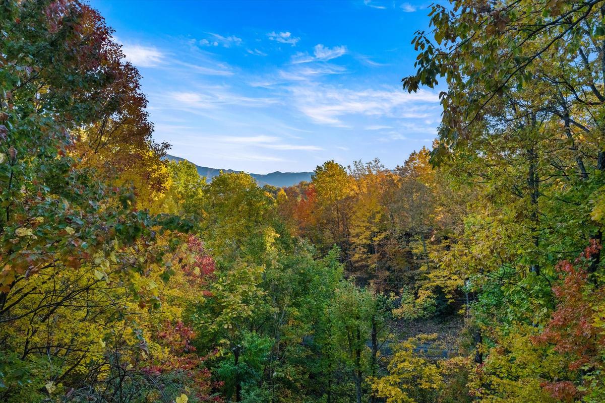 Dreamcatcher CV | Photo 35