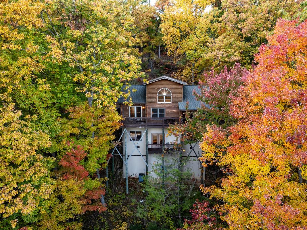 Dreamcatcher CV | Photo 37