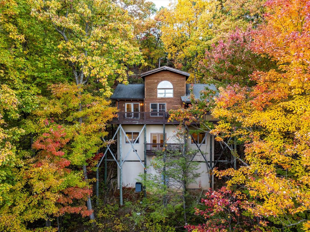 Dreamcatcher CV | Photo 38