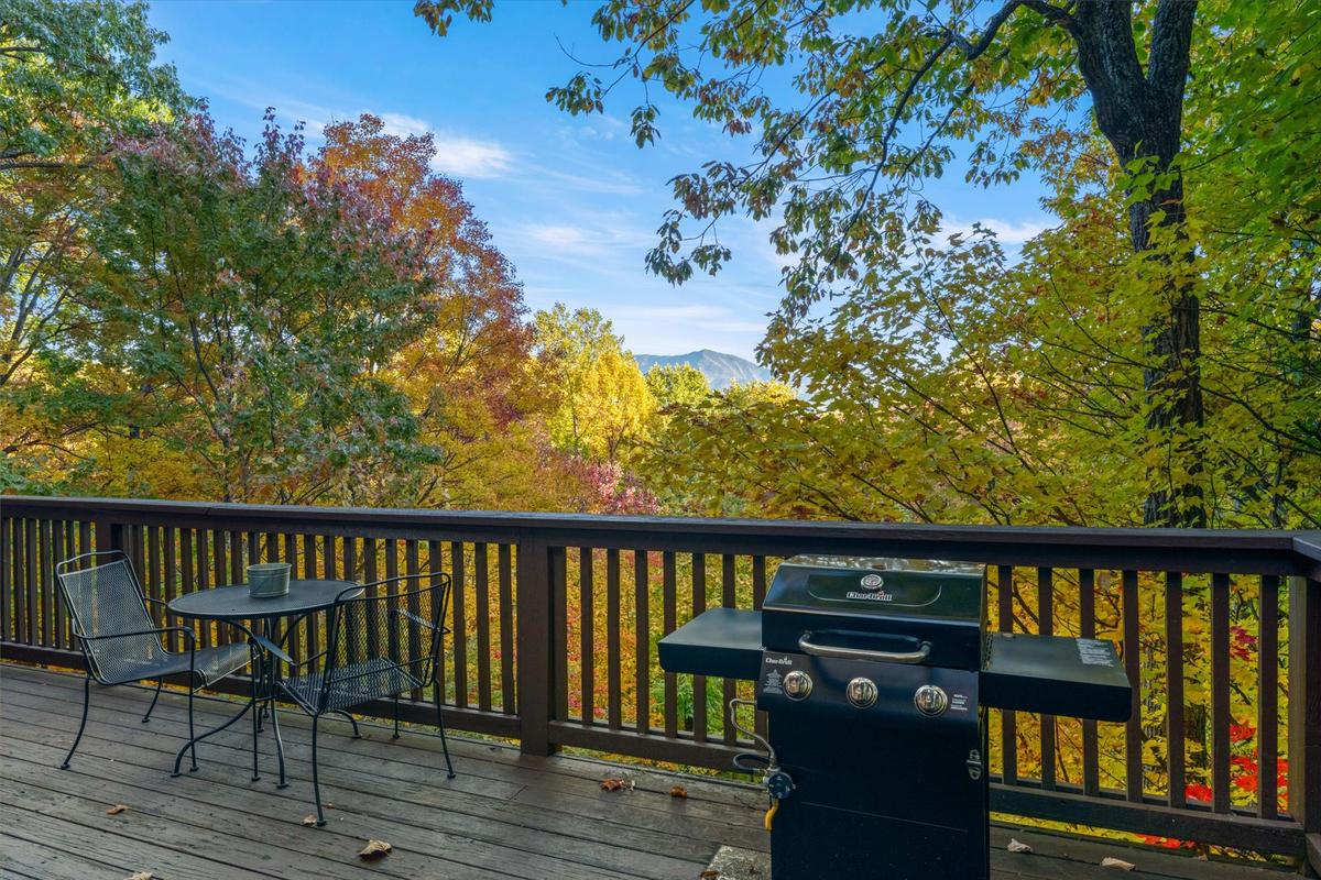 Dreamcatcher CV | Photo 61