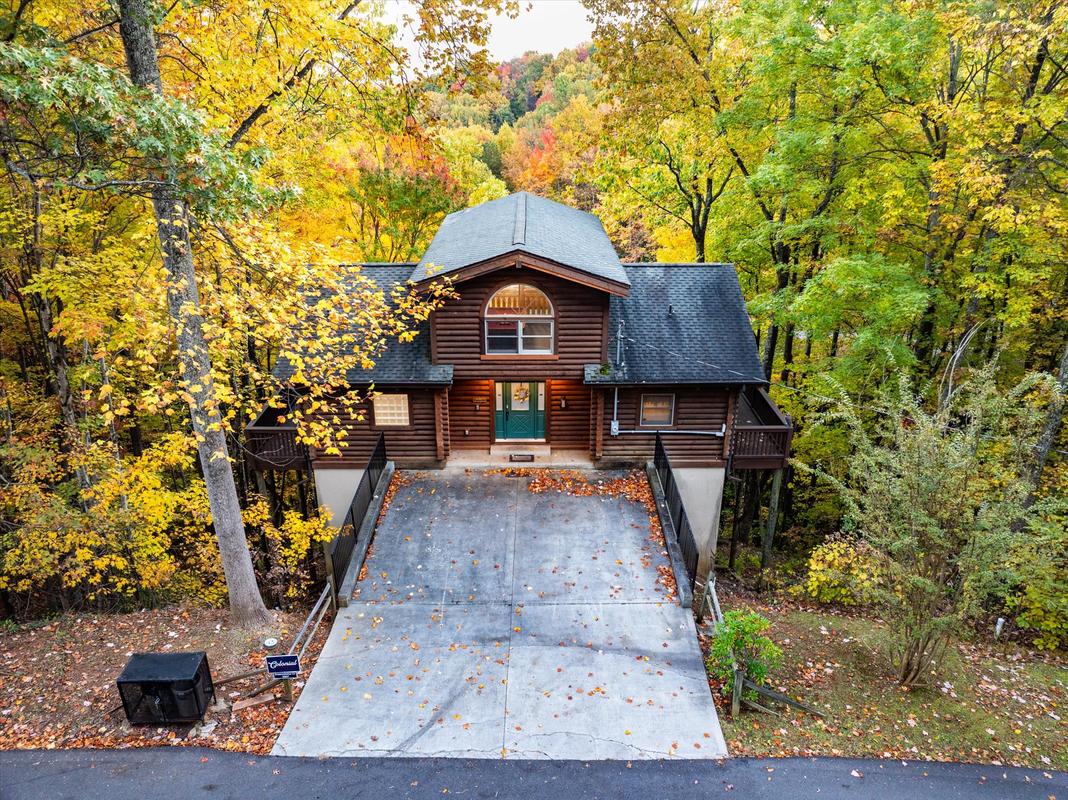 Dreamcatcher CV | Photo 69