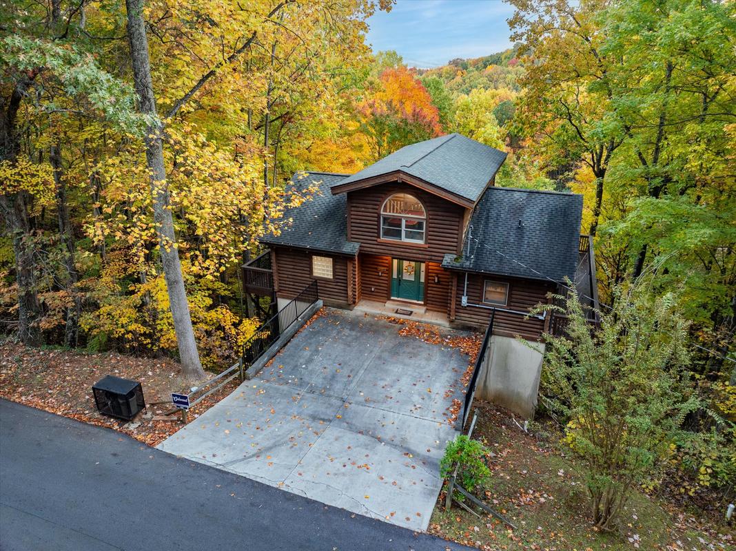 Dreamcatcher CV | Photo 70