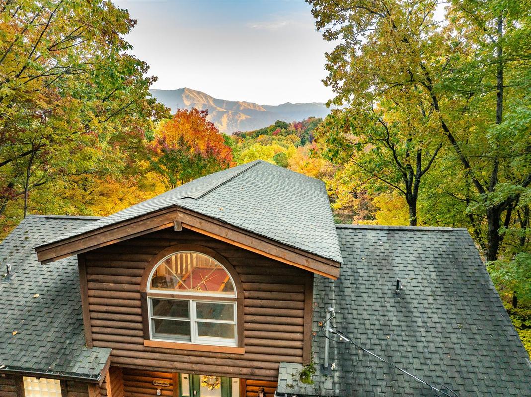 Dreamcatcher CV | Photo 71