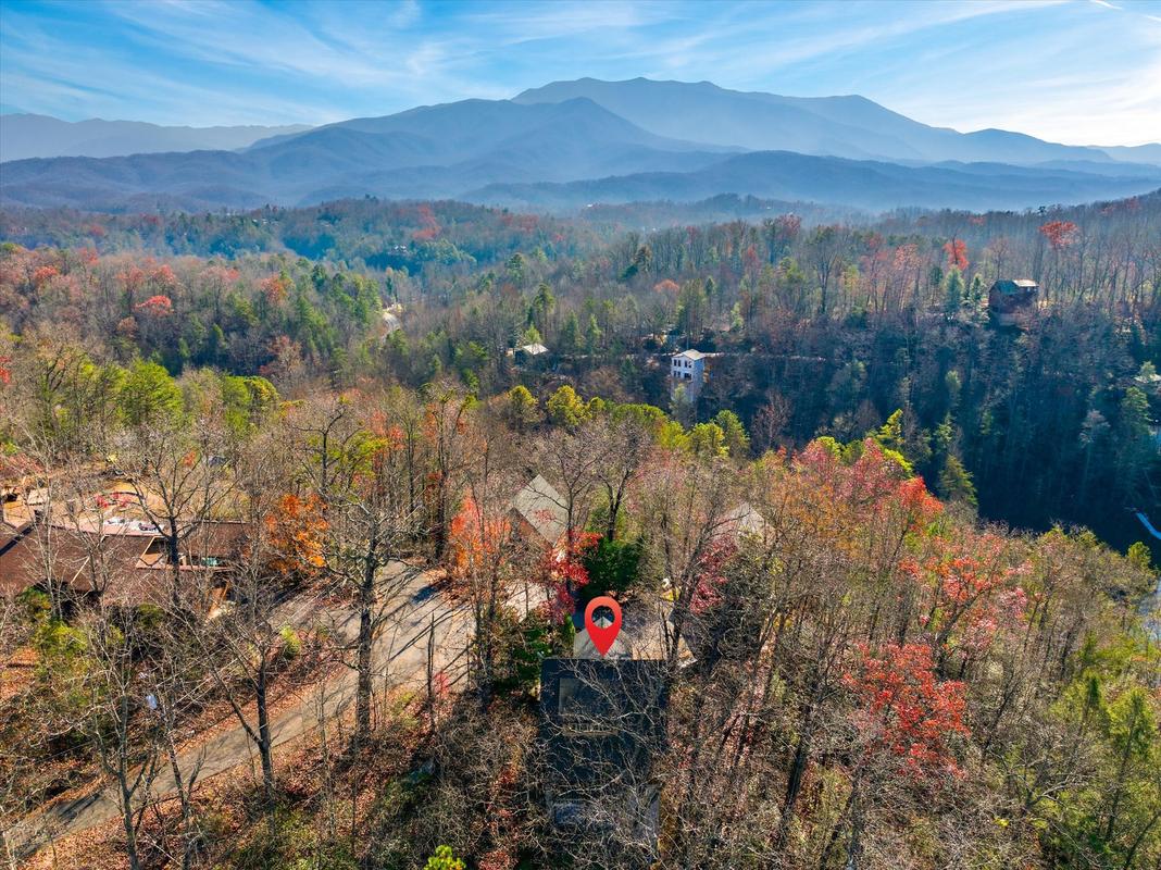 Dream A Little Dream | Photo 49