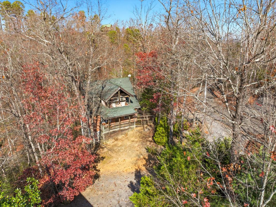 Dream A Little Dream | Photo 41