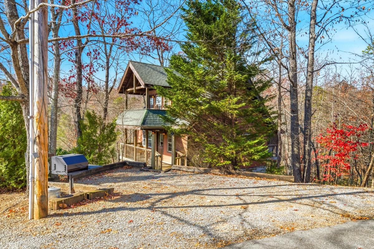 Dream A Little Dream | Photo 42