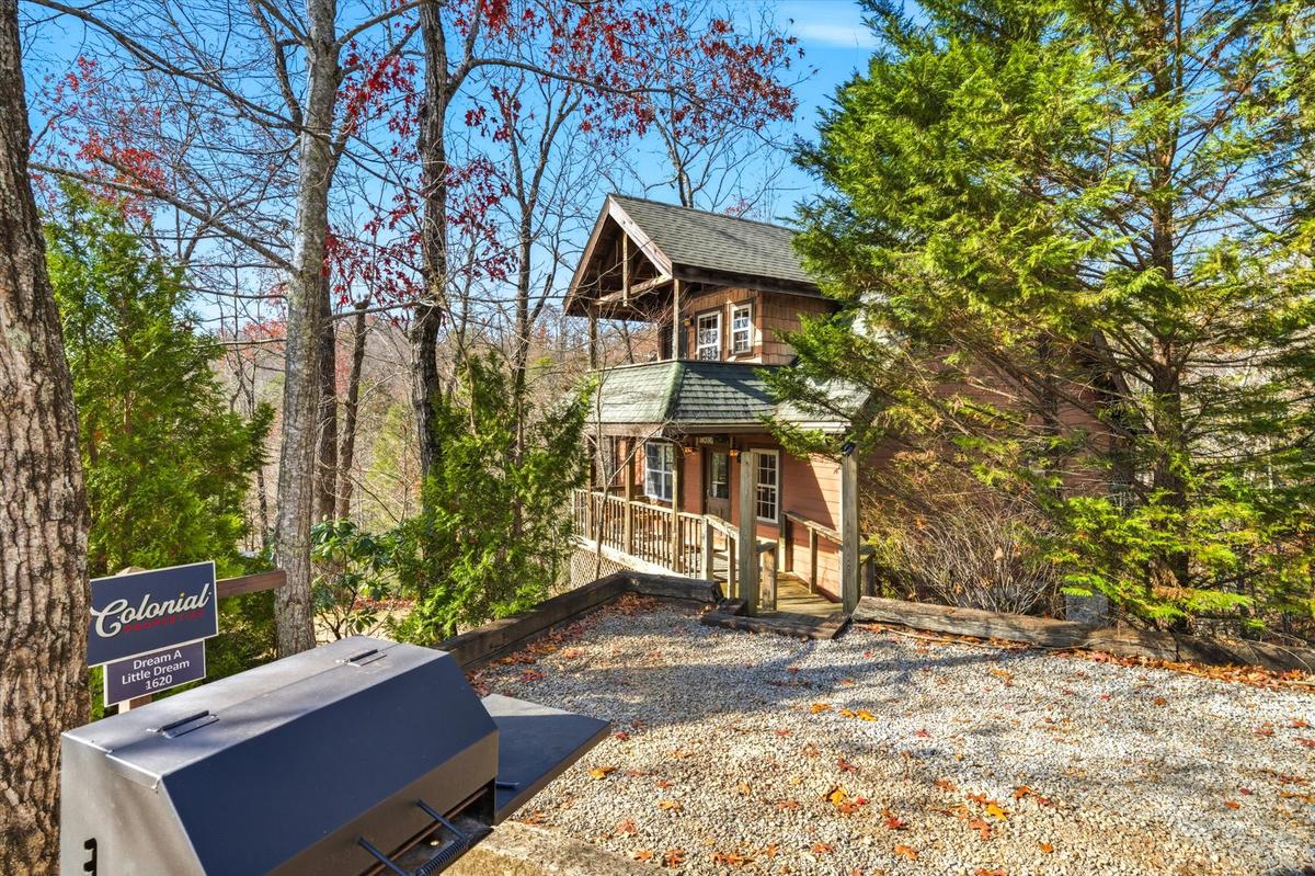 Dream A Little Dream | Photo 43