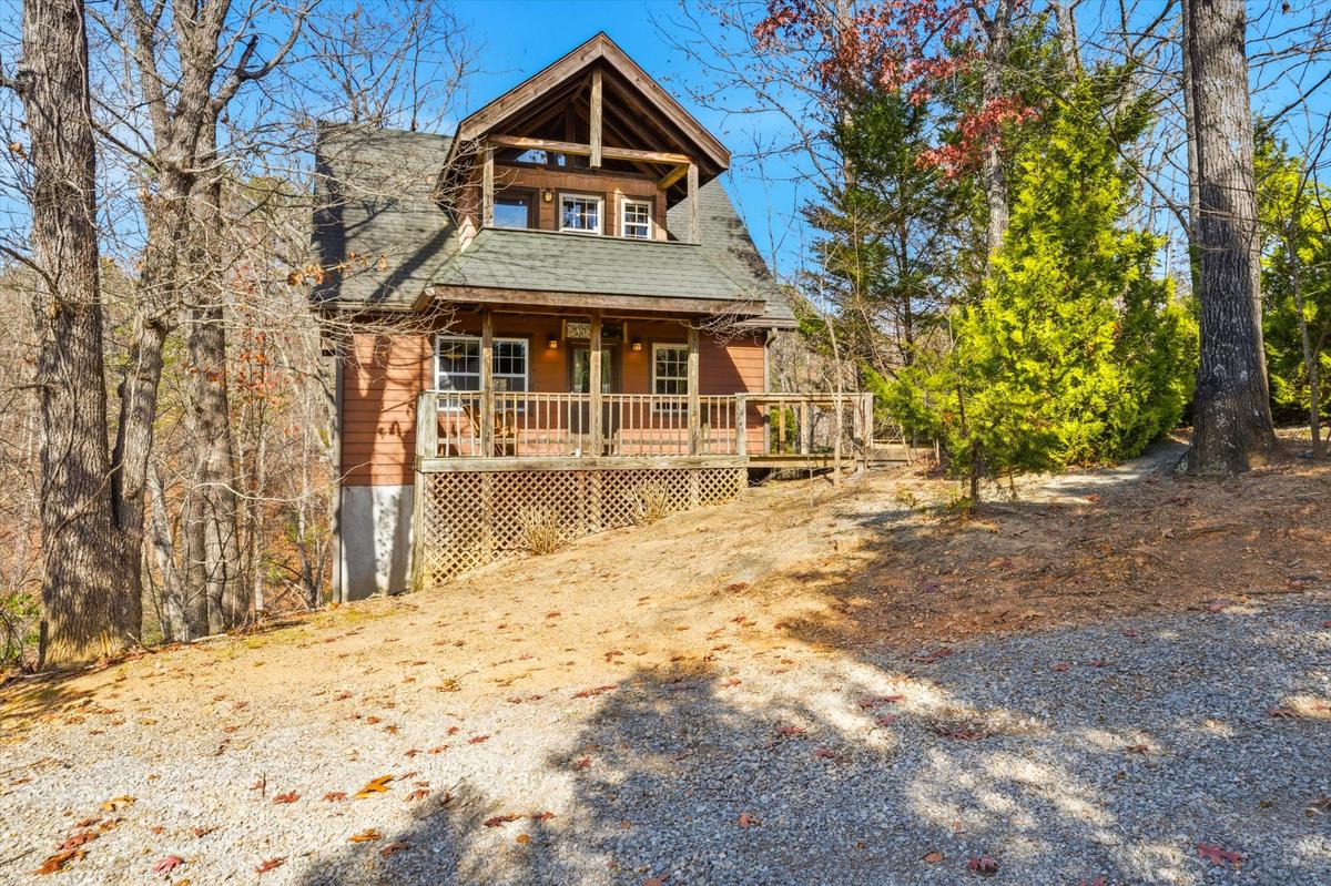 Dream A Little Dream | Photo 48