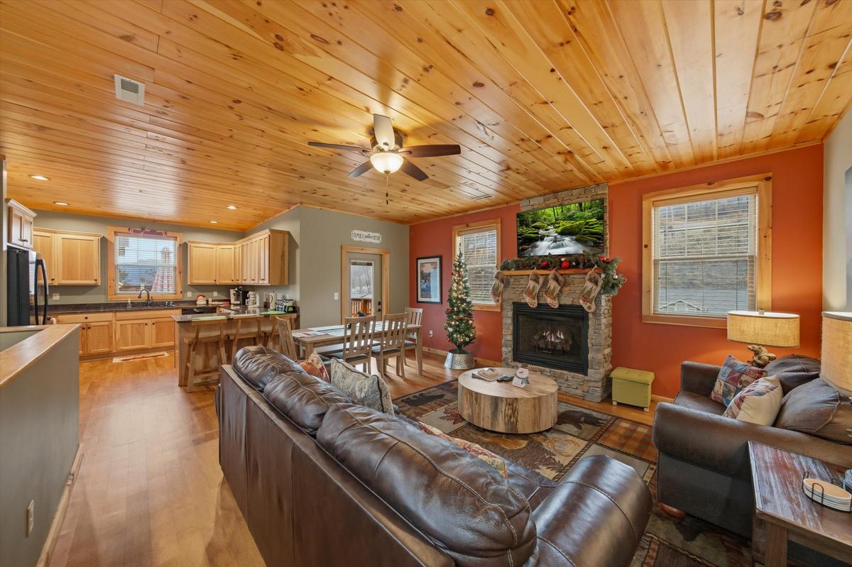 Blue Bird Hideaway 4