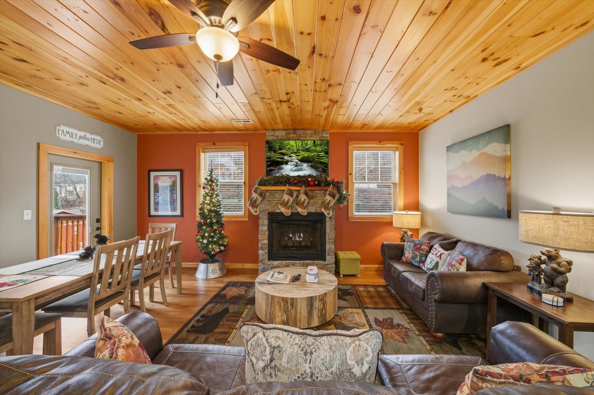 Blue Bird Hideaway 3