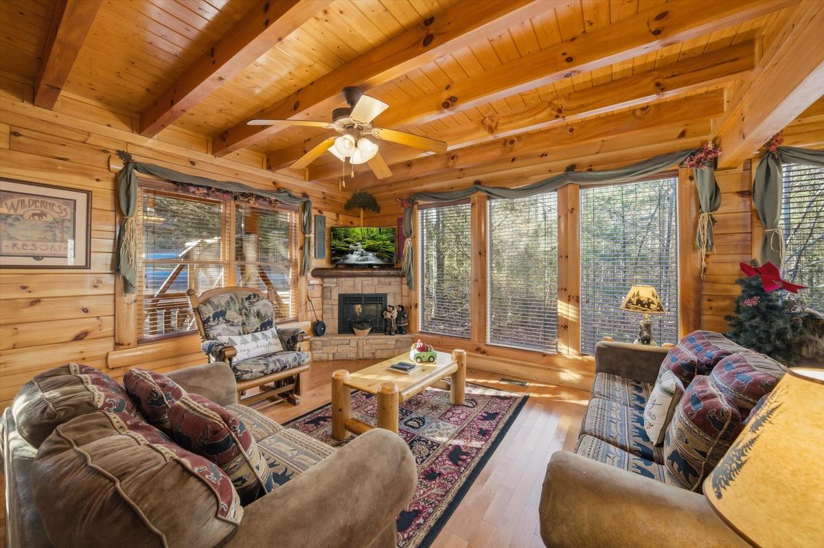 Tennessee Treasure 2