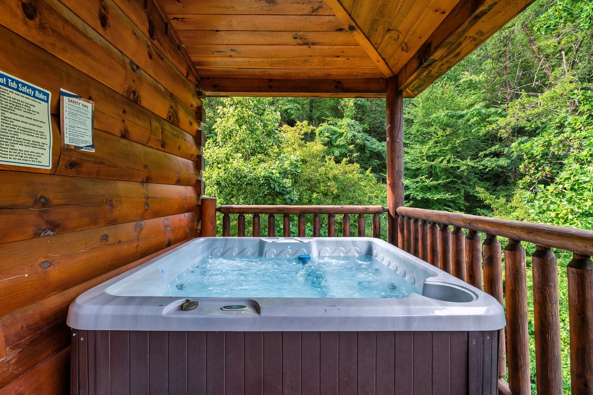 A Bear Creek Plunge | Photo 48