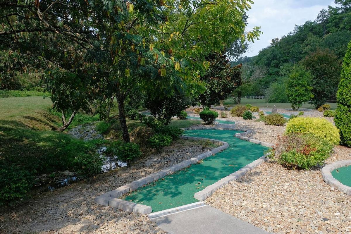 A Bear Creek Plunge | Photo 51