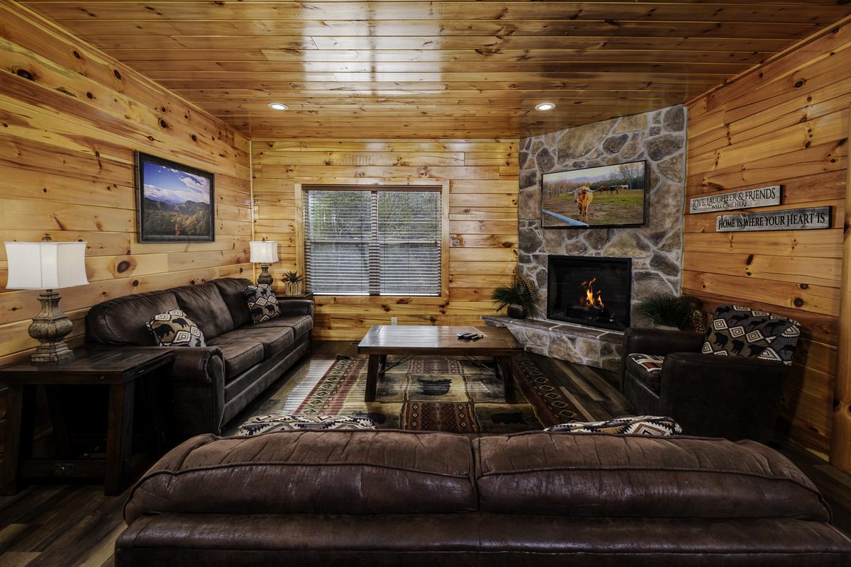 A Bearadise Splash 5