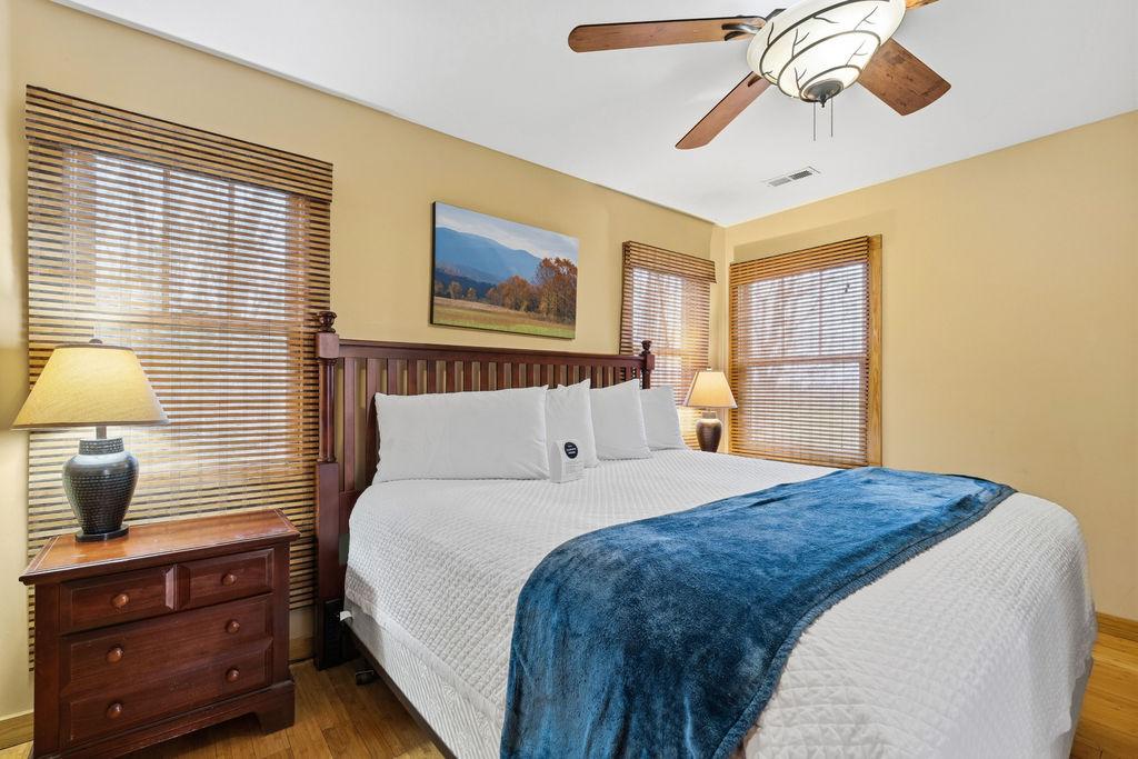 Tree Tops | Photo 26