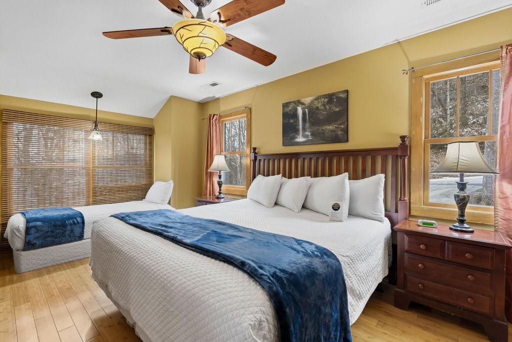 Tree Tops | Photo 30