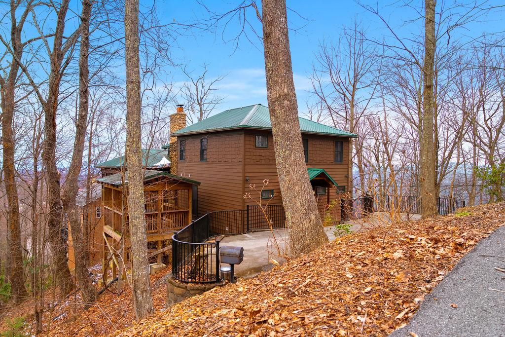 Tree Tops | Photo 48